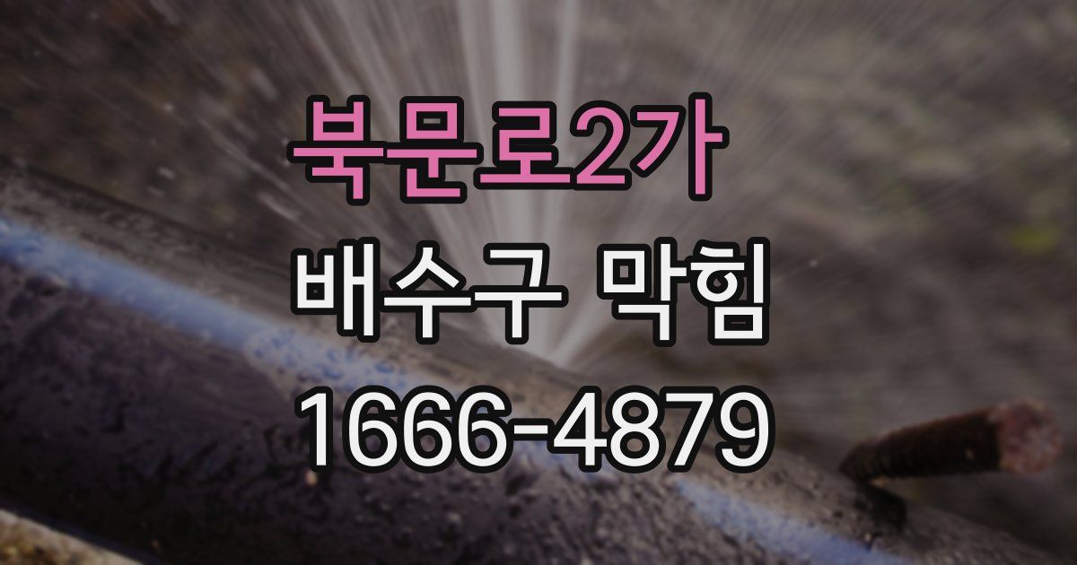 북문로2가 배수구 막힘