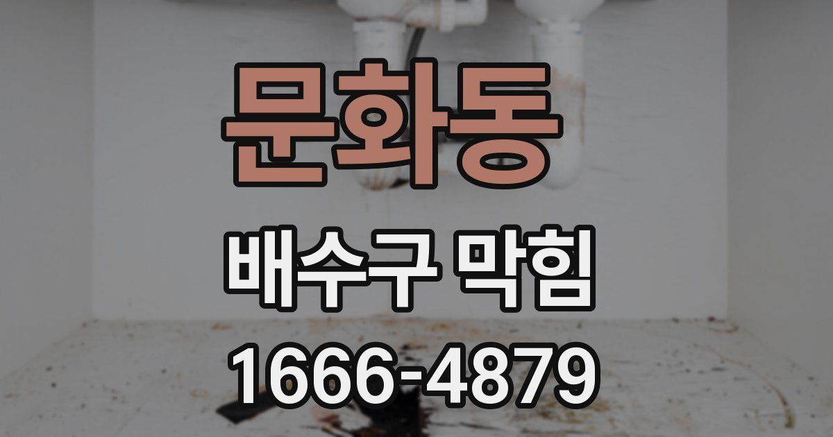 문화동 배수구 막힘