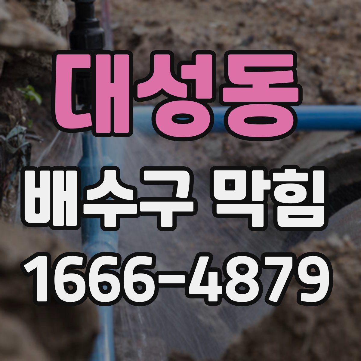 대성동 배수구 막힘