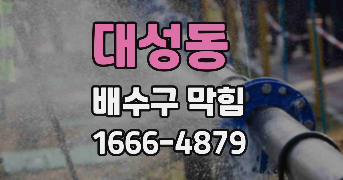 대성동 배수구 막힘