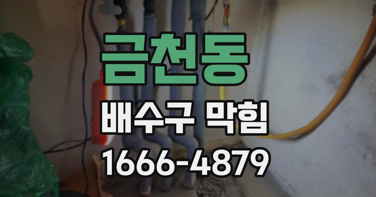 금천동 배수구 막힘