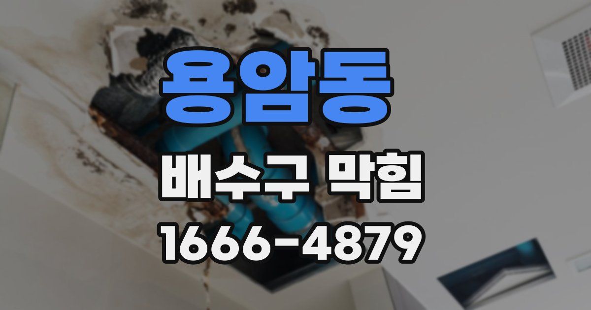용암동 배수구 막힘