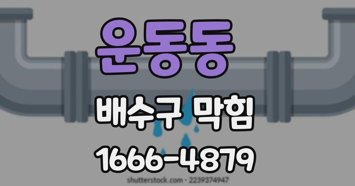 운동동 배수구 막힘
