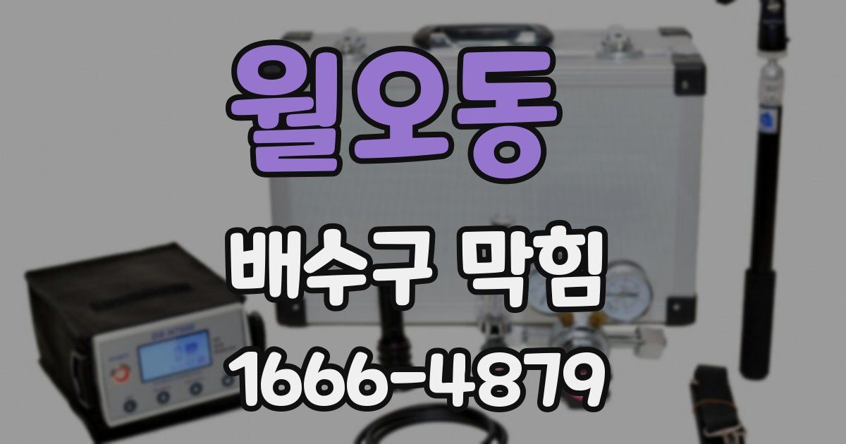 월오동 배수구 막힘