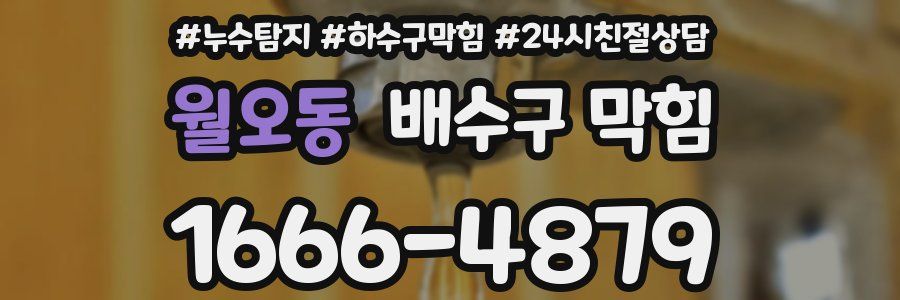 월오동 배수구 막힘
