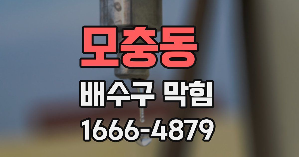모충동 배수구 막힘
