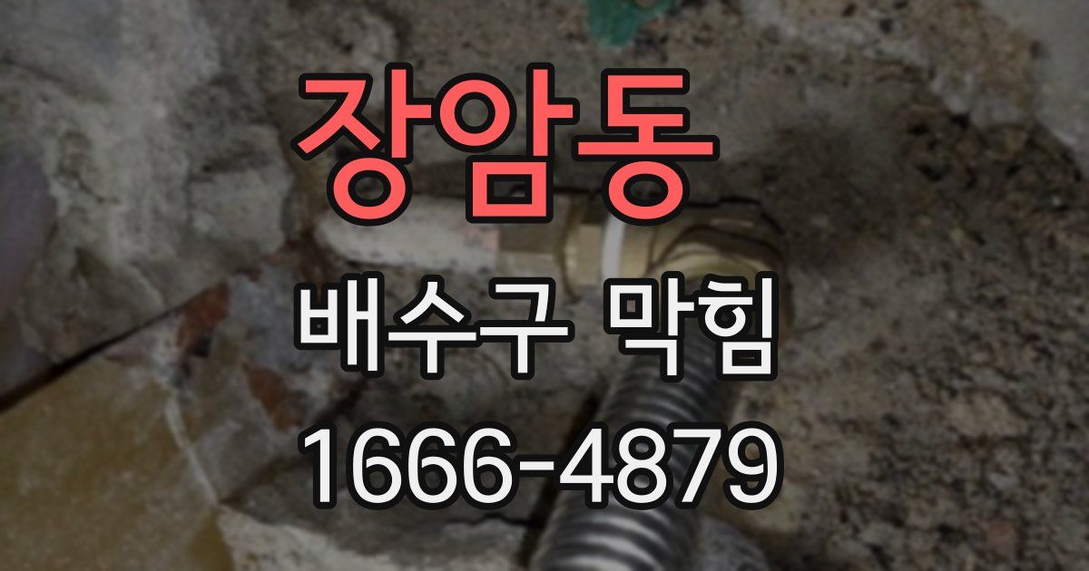 장암동 배수구 막힘