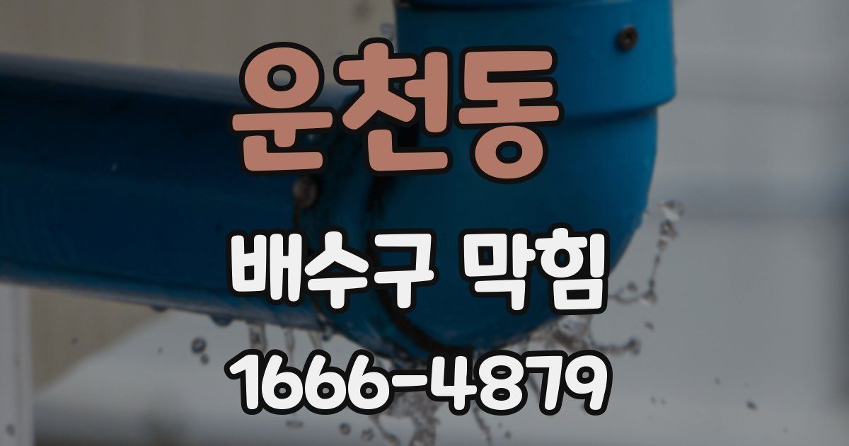 운천동 배수구 막힘