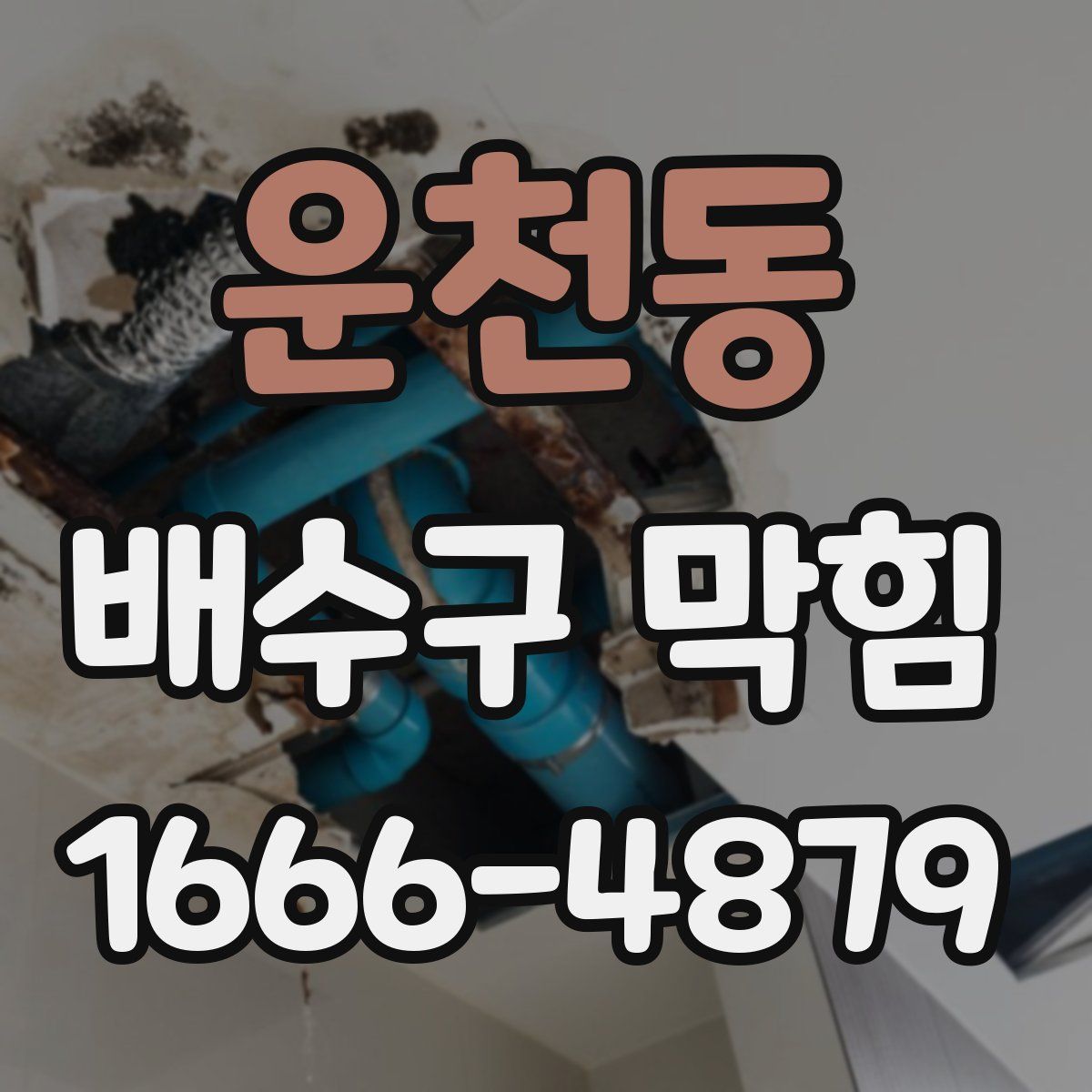 운천동 배수구 막힘