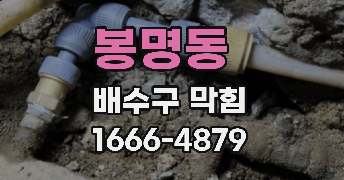 봉명동 배수구 막힘