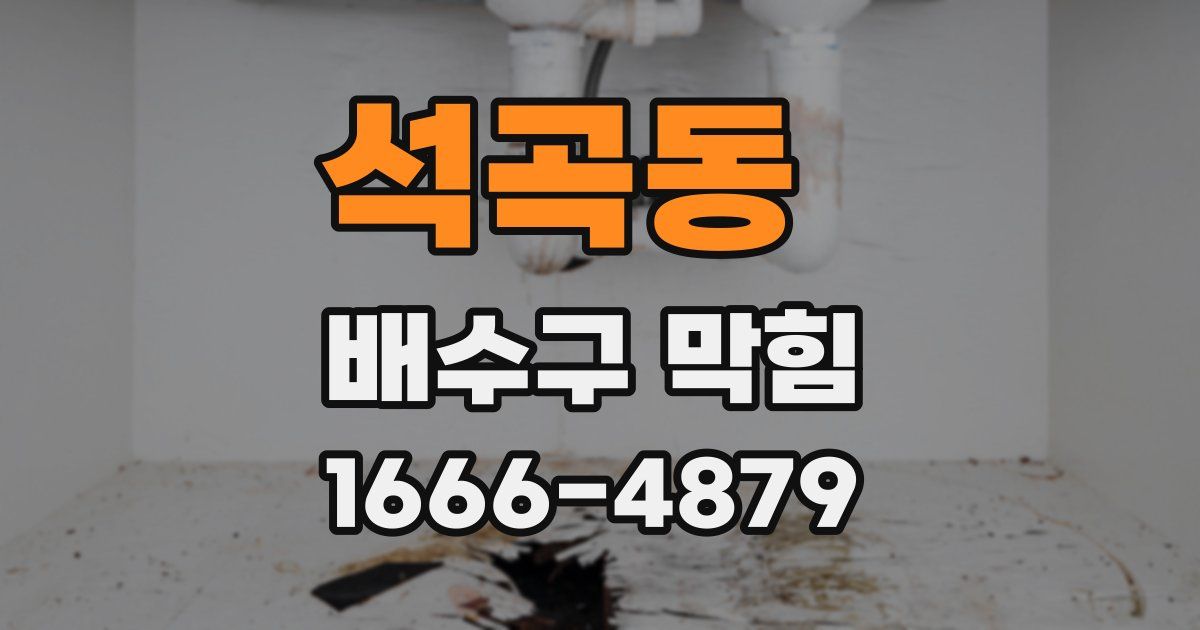 석곡동 배수구 막힘