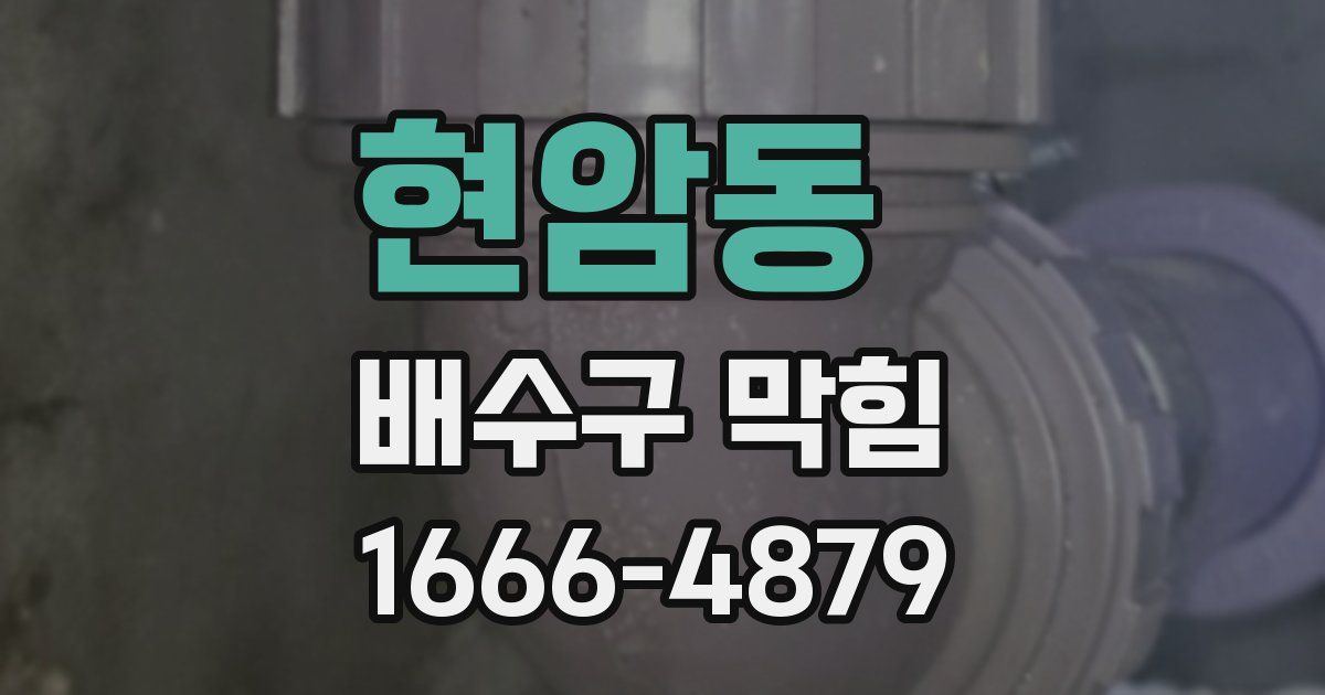 현암동 배수구 막힘