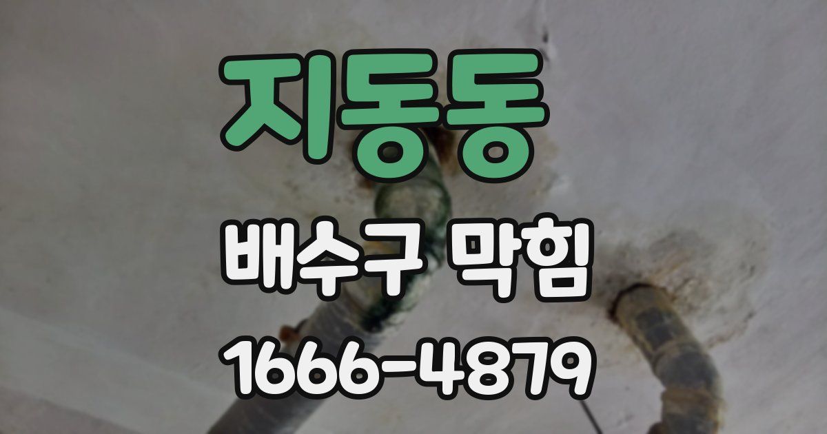 지동동 배수구 막힘
