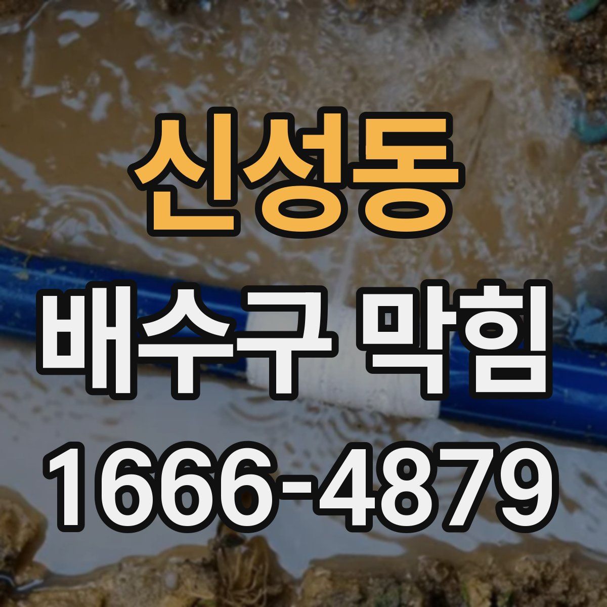 신성동 배수구 막힘