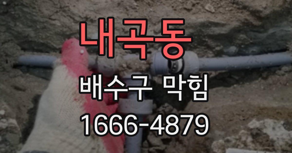 내곡동 배수구 막힘