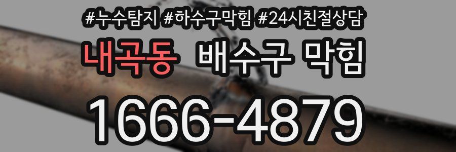 내곡동 배수구 막힘