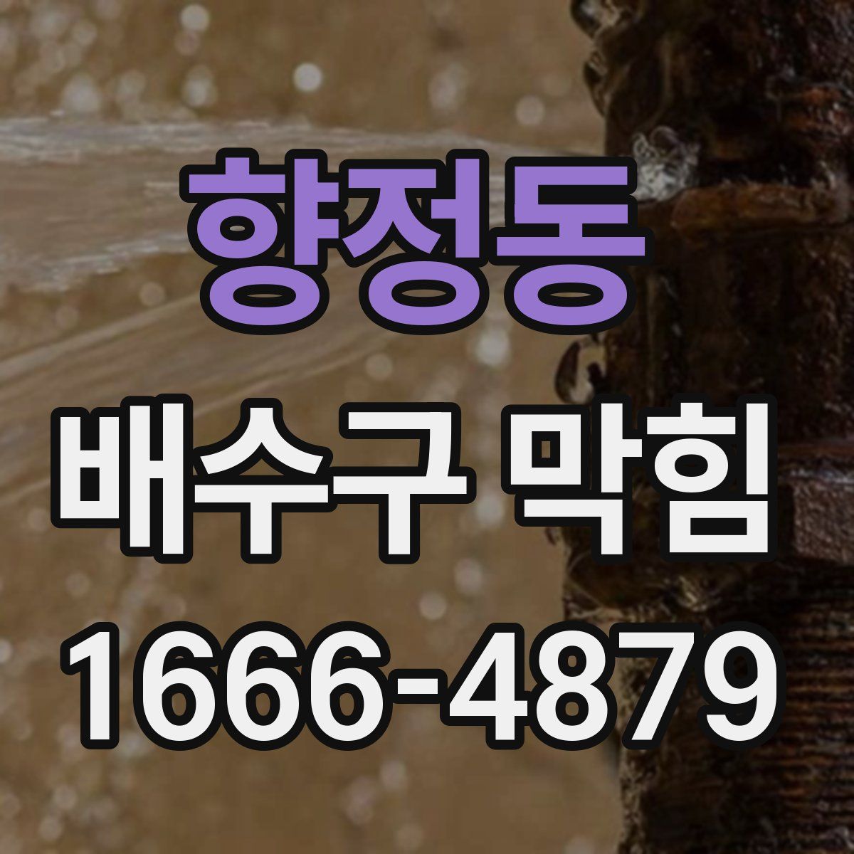 향정동 배수구 막힘