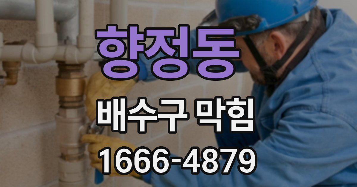 향정동 배수구 막힘
