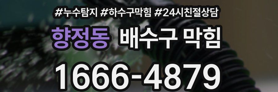향정동 배수구 막힘