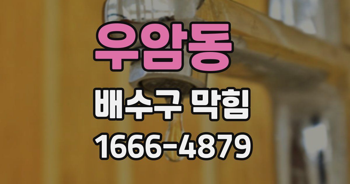 우암동 배수구 막힘