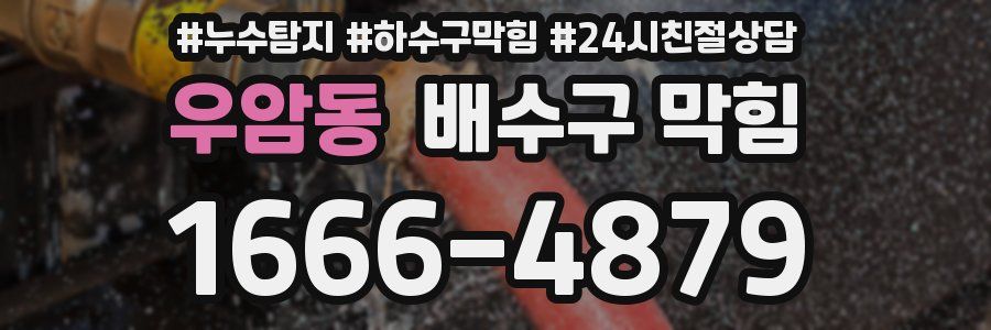 우암동 배수구 막힘