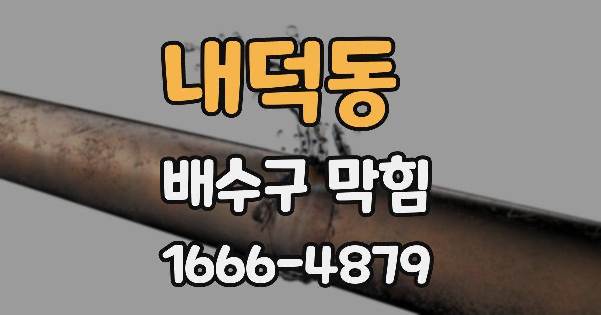 내덕동 배수구 막힘