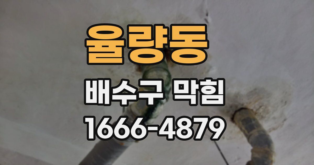 율량동 배수구 막힘