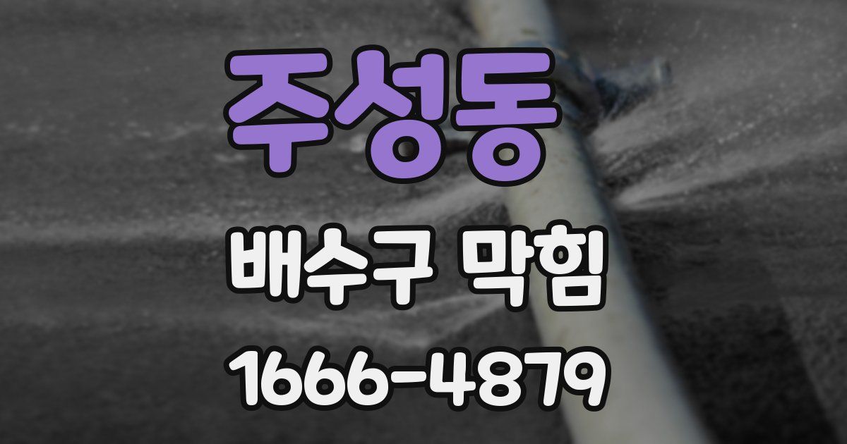 주성동 배수구 막힘