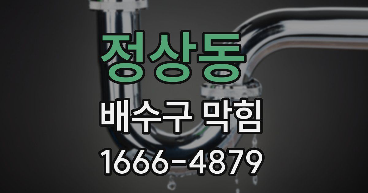 정상동 배수구 막힘