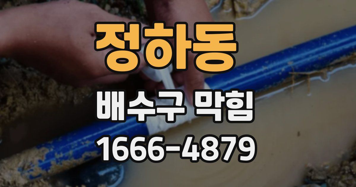 정하동 배수구 막힘