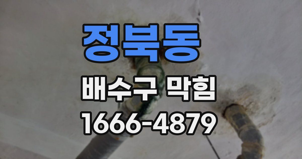 정북동 배수구 막힘