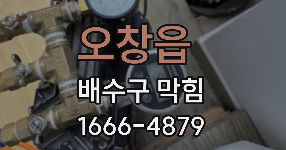 오창읍 배수구 막힘