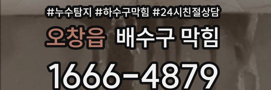 오창읍 배수구 막힘