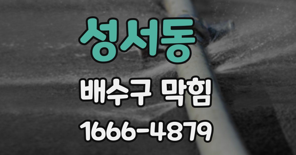 성서동 배수구 막힘