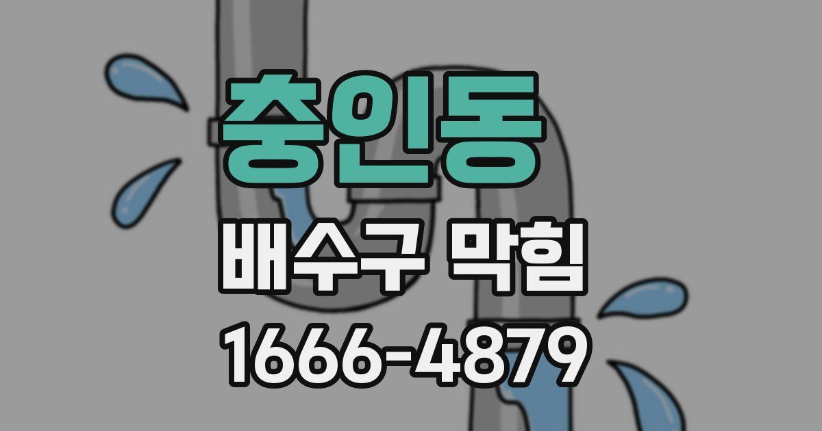 충인동 배수구 막힘
