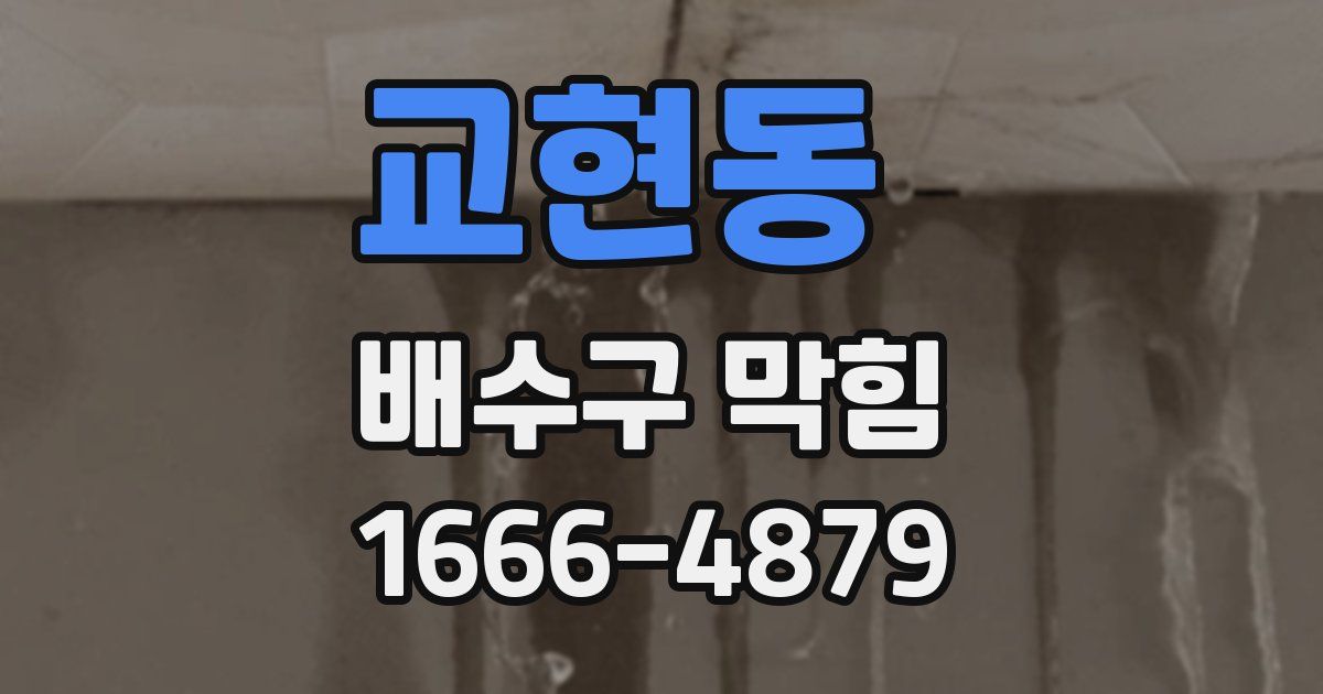 교현동 배수구 막힘