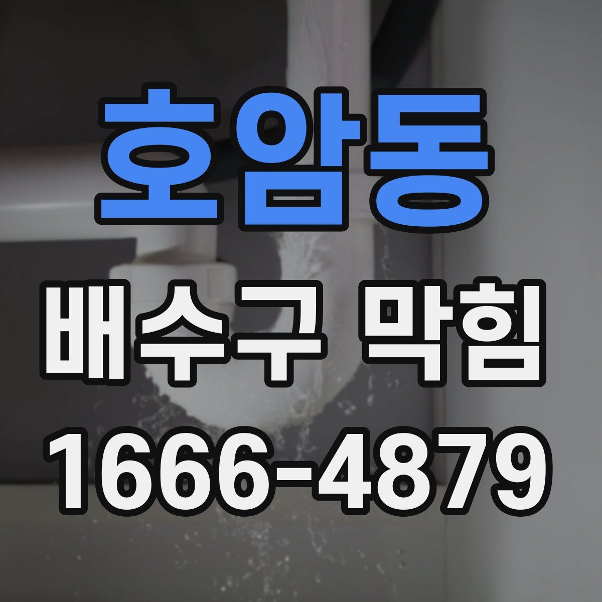 호암동 배수구 막힘