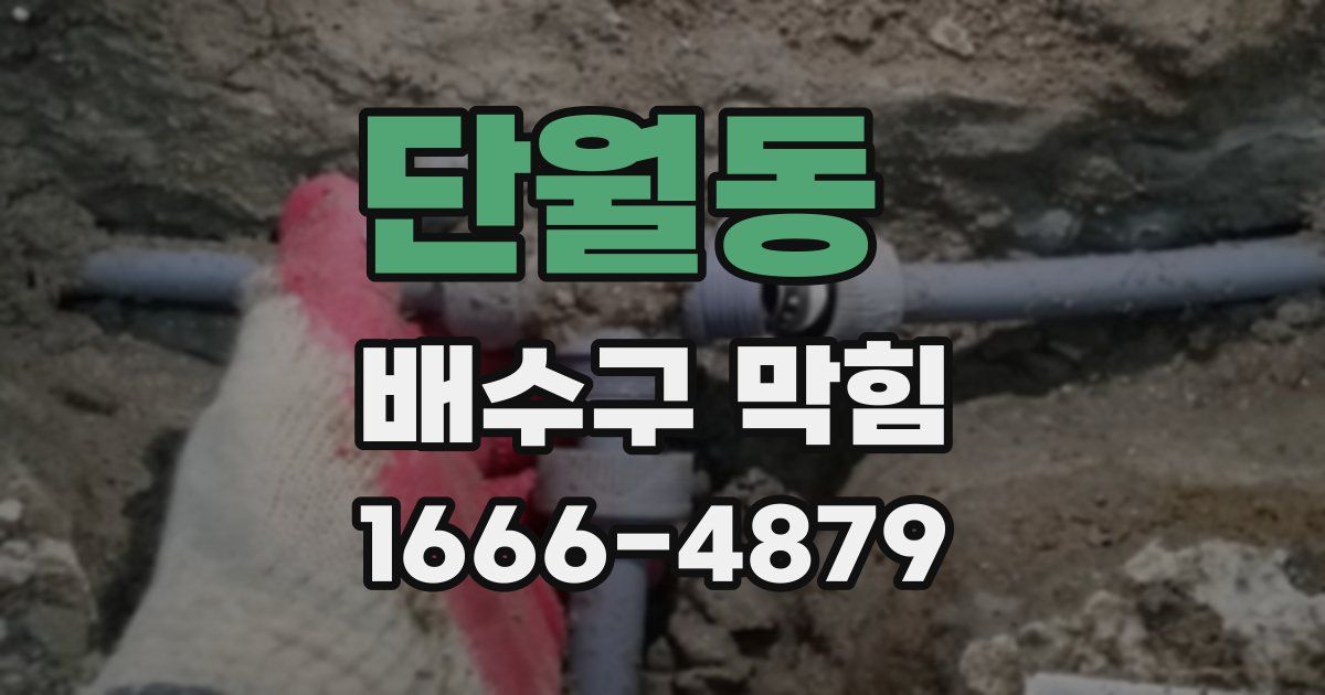 단월동 배수구 막힘