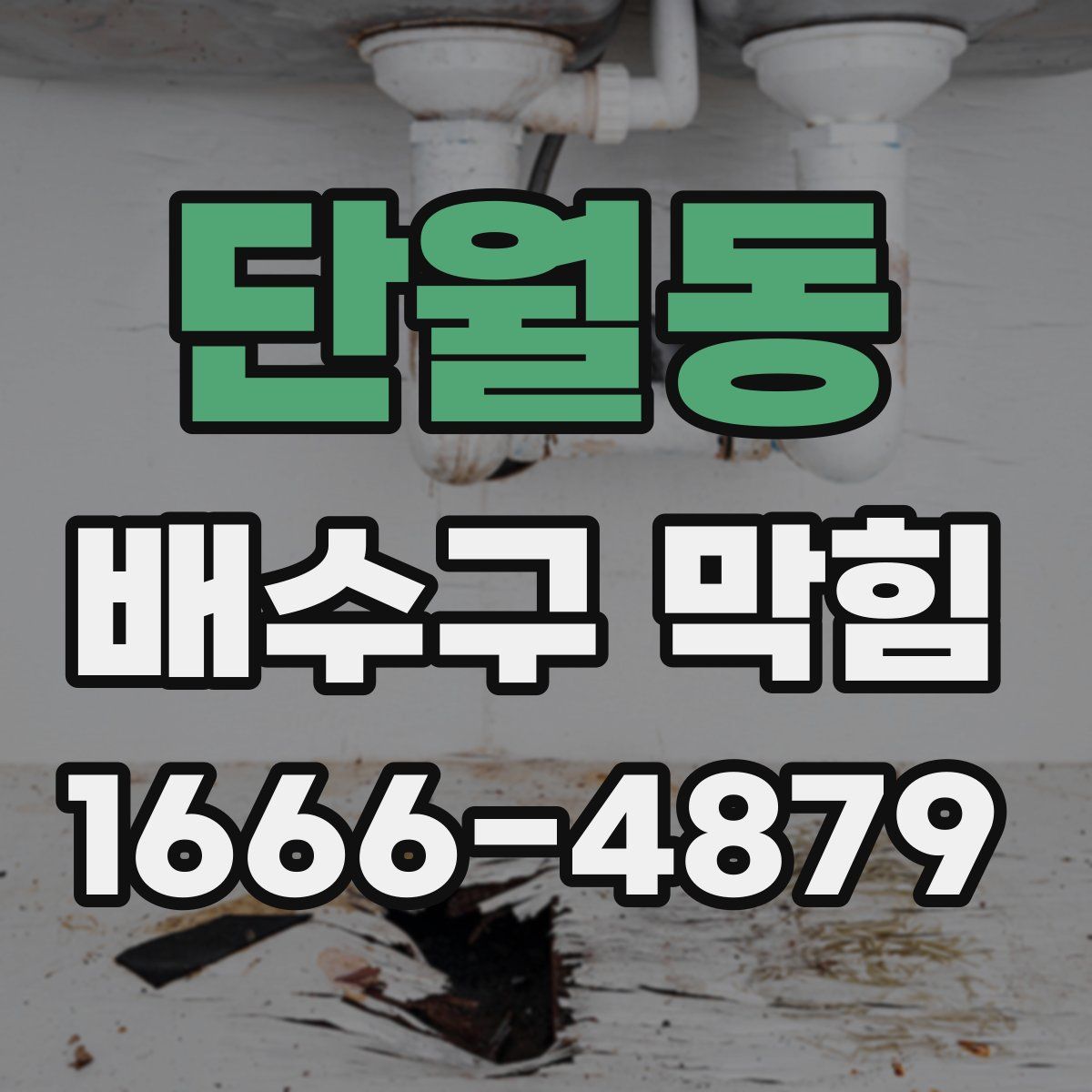 단월동 배수구 막힘