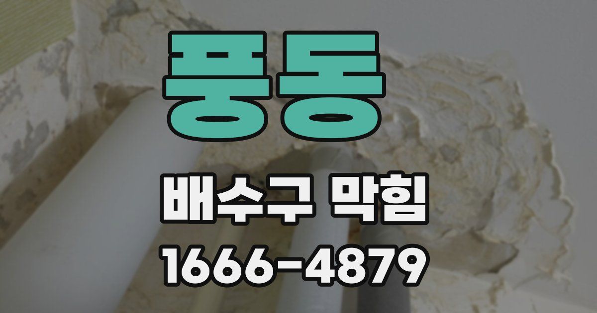 풍동 배수구 막힘