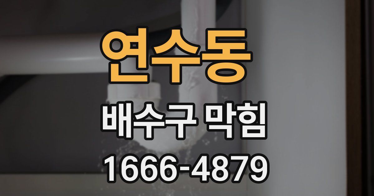 연수동 배수구 막힘