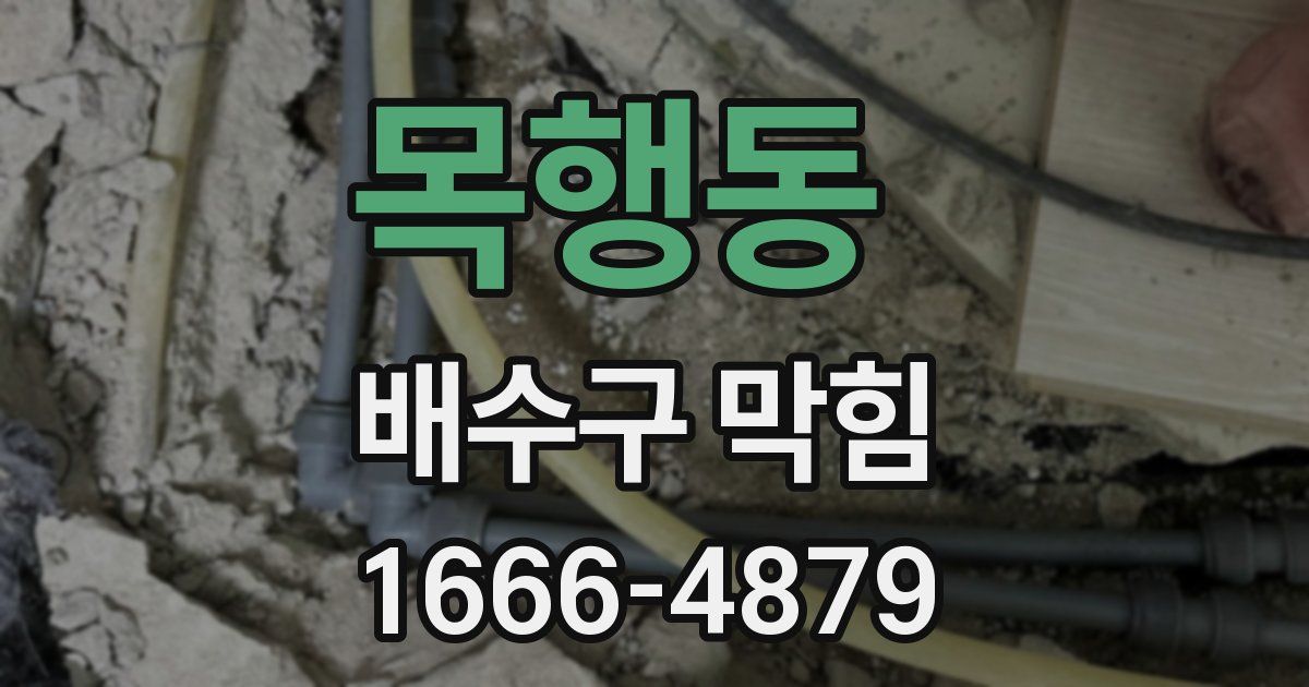 목행동 배수구 막힘