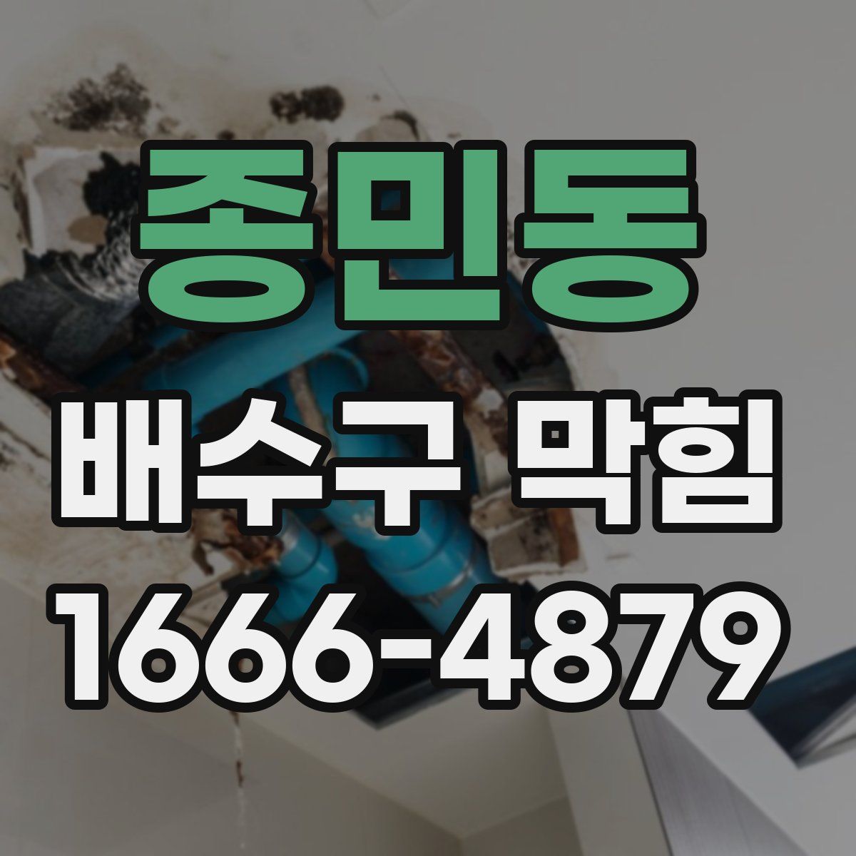 종민동 배수구 막힘