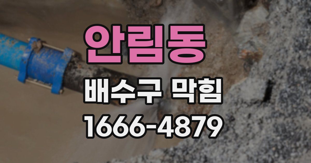 안림동 배수구 막힘