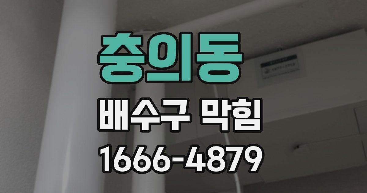 충의동 배수구 막힘