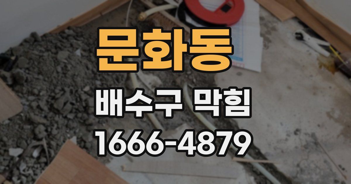 문화동 배수구 막힘