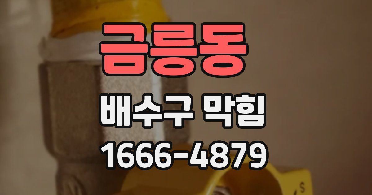 금릉동 배수구 막힘