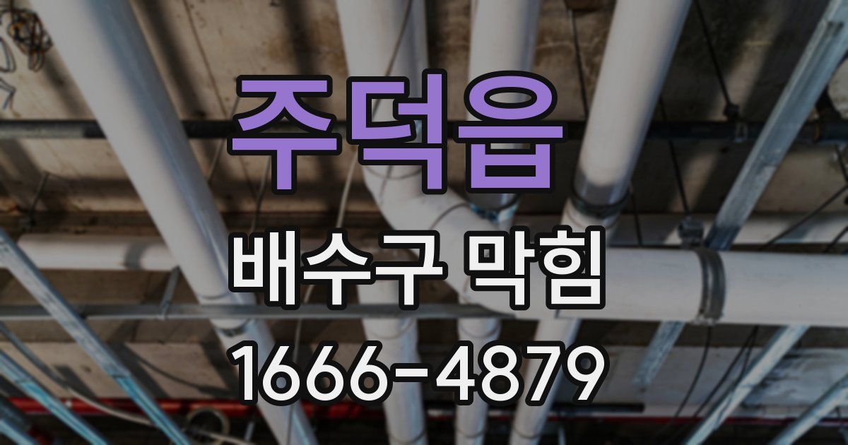 주덕읍 배수구 막힘