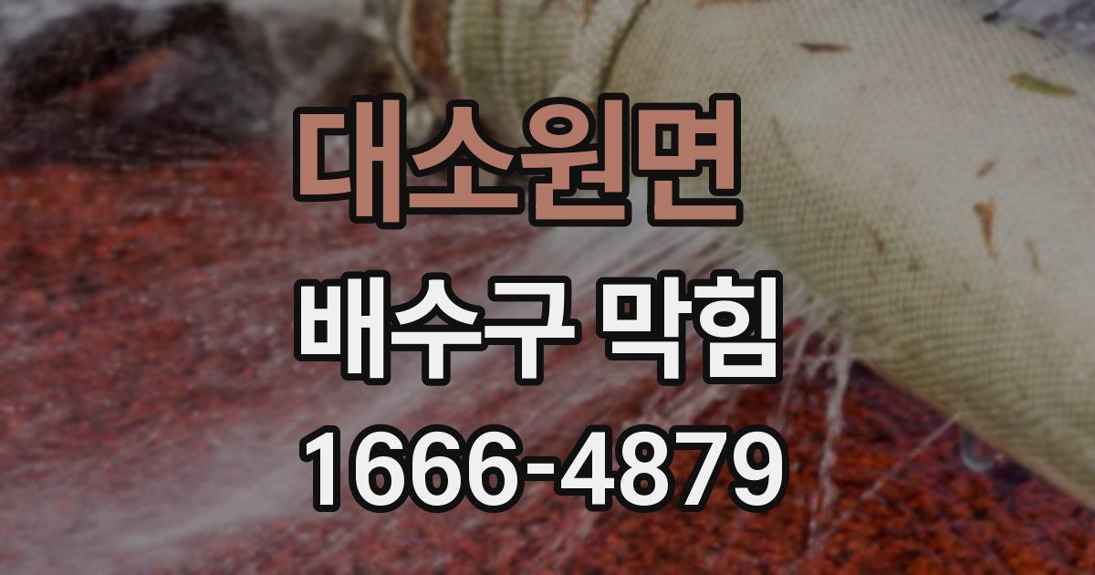 대소원면 배수구 막힘