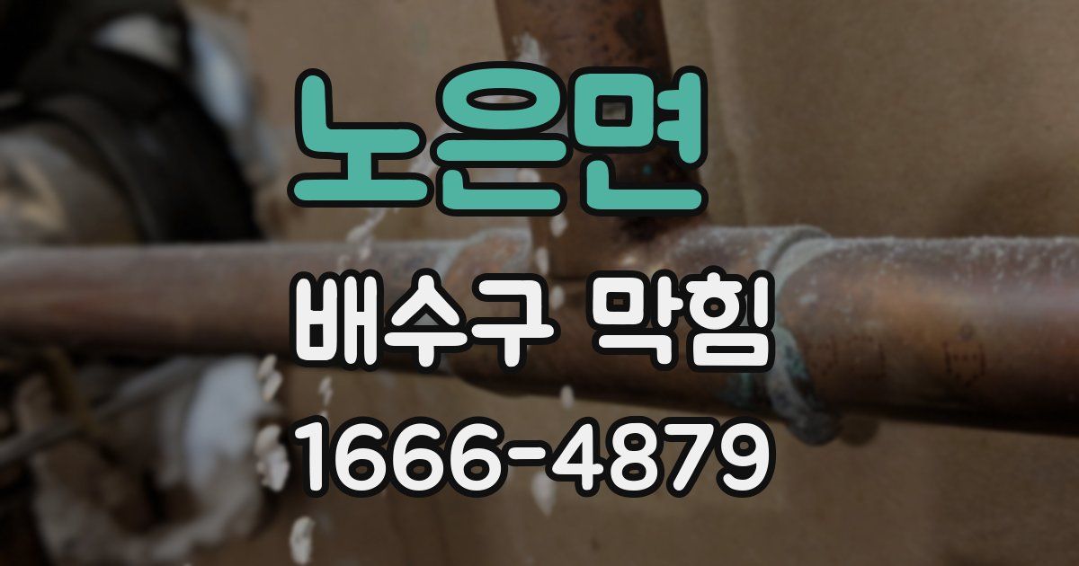 노은면 배수구 막힘